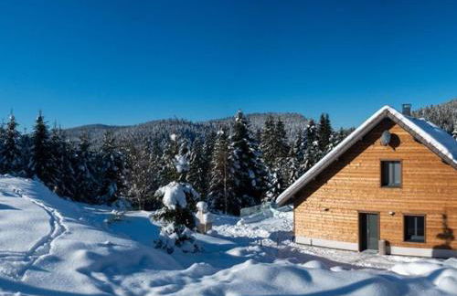 Chalet familial spacieux avec SPA, salle de jeux, près des pistes - 14 pers, Vosges - FR-1-589-366 - Foto 30
