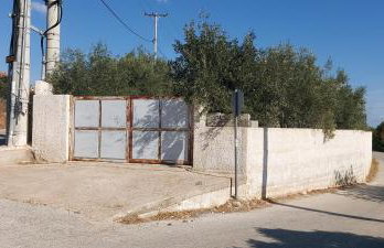 Gianni & Sophia airport house - Foto 21