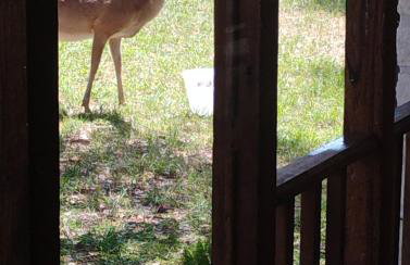 Spacious Family Gem, Close to Lake, Hot Tub - Foto 32