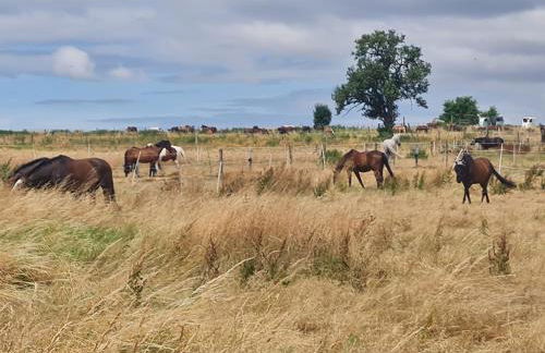 Super schöne Ferienwohnung Monteurunterkunft, Handwerkerwohnung, Nähe Hanau und Frankfurt - Foto 15