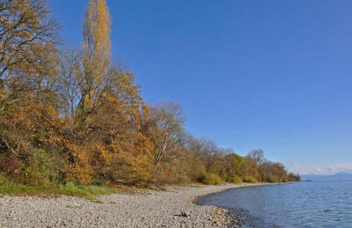 Ferienhaus in Markdorf mit Pool - Foto 38