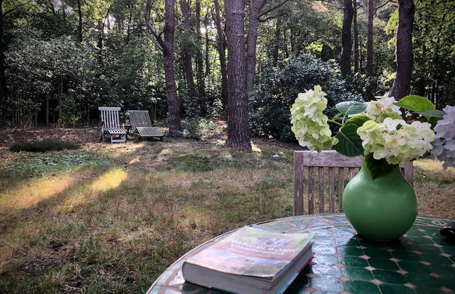 Gierle Garden Bungalow Escape - Foto 26