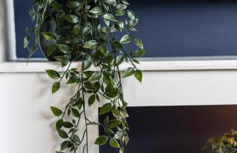 The Heart - Cosy 3 bedroom house with double driveway and Garden in Manchester - Foto 58