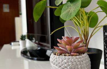 SeaView apartments - Photo 7