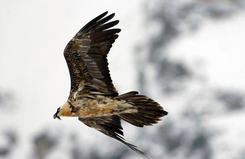 Casa Julio - Photo 39