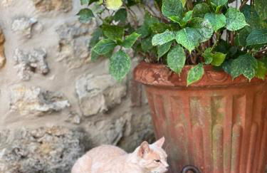 Agriturismo Sole - Foto 80