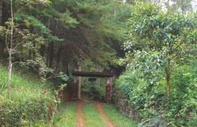 Recanto Ouro Fala - Foto 20