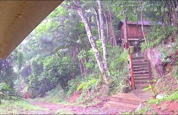 Chalé Refúgio dos Aventureiros Mata Atlântica - Foto 3