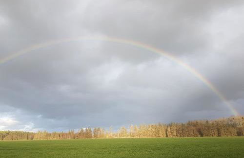 in die Ferien mit 16 Freunden - Foto 38
