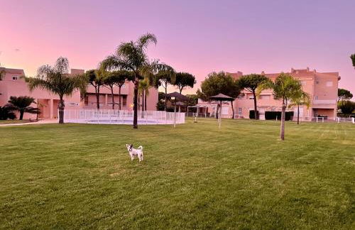 En la zona más tranquila del Novo Sancti Petri - Foto 33