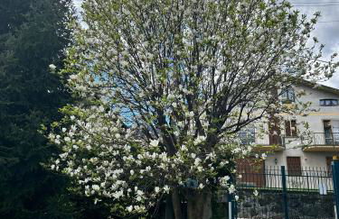 La Casetta di Renzo e Lucia - Foto 23
