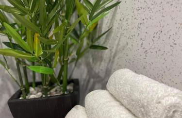 Scottish stunning home stay with free parking and pet friendly - Photo 40