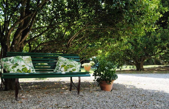 Ca' Settecento Residenza d'Epoca - Foto 44