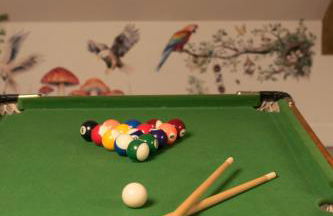 The Allendale Wolf - Foto 12