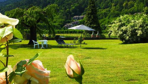 Paradiso sul lago - Foto 4, Garden