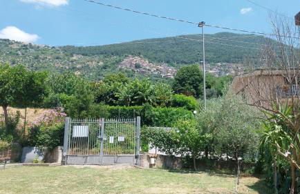 Casa Vacanze L'Amedeo - Foto 50