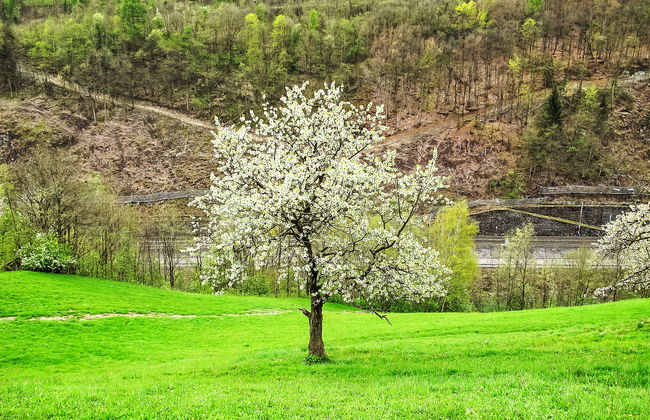 2 bedroom Apartment in Goldegg with garden - Photo 19