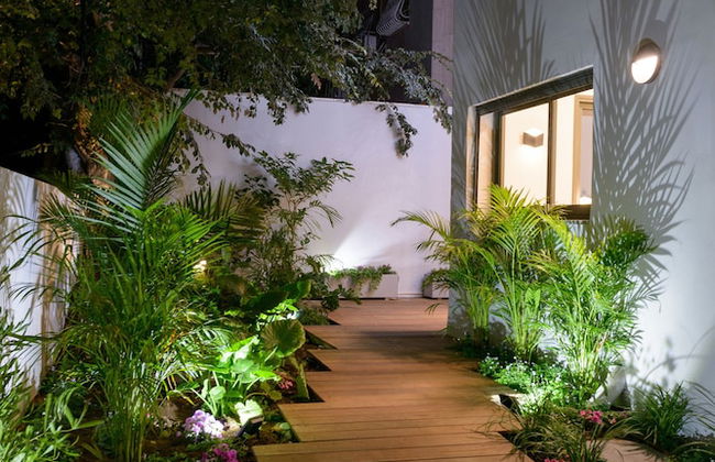 CTLV - Sheinkin 30 - Foto 35