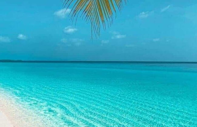 2 Minute Walk to Beach 1bdrm Condo with Pool - Foto 56