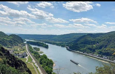 Ferienwohnung Neli am Rhein - Foto 37