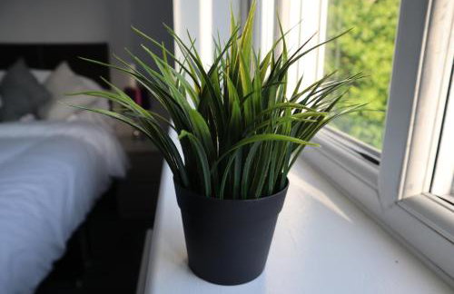 Heron House - Foto 9