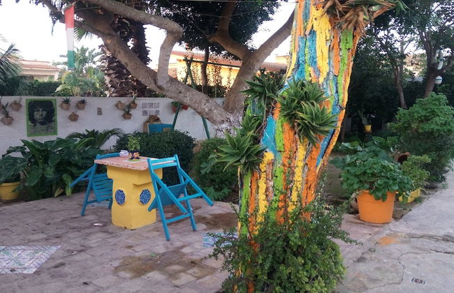 Zagara di Sicilia - Foto 73