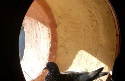 Maison de village, piscine, Colorado - Foto 22