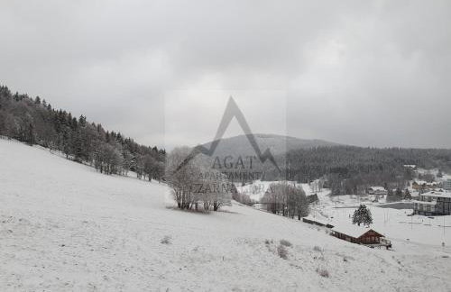 AGAT Apartament Czarna Góra - Foto 20