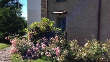 Il Bosso del Lago d'Orta - Foto 4