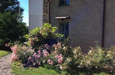 Il Bosso del Lago d'Orta - Foto 4