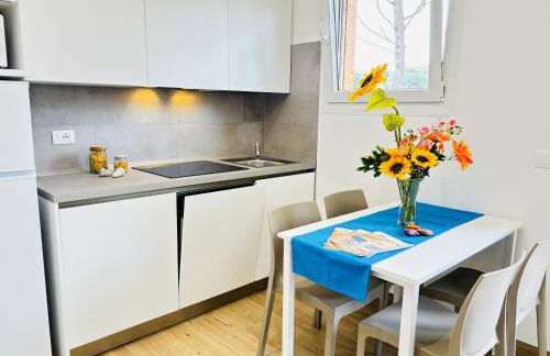 New Splendid - Foto 4