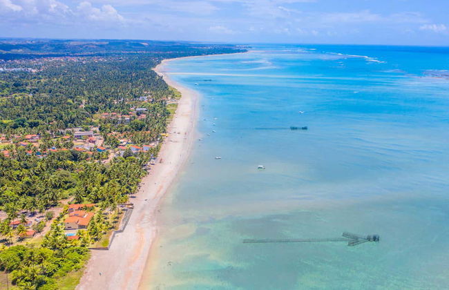 Excursión privada a Maragogi - Foto 2