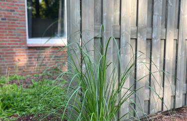 Deich Winde 9.1 - Foto 8