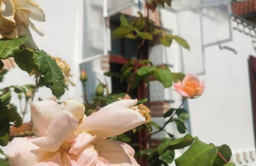 Au Coin Fleuri - Foto 29