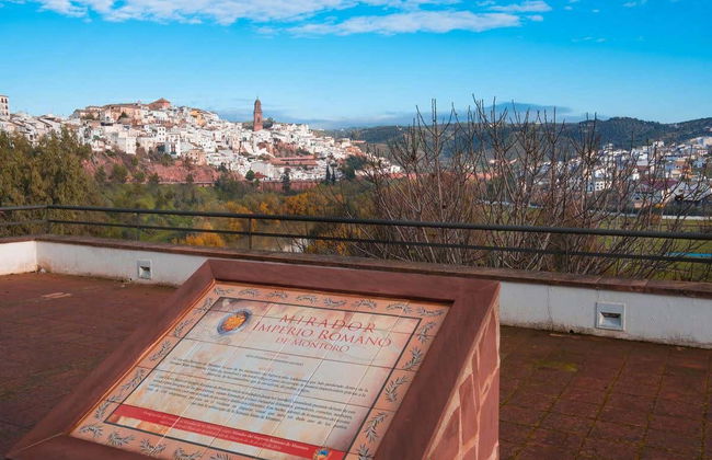 Tour por la Ruta Bética Romana - Foto 5