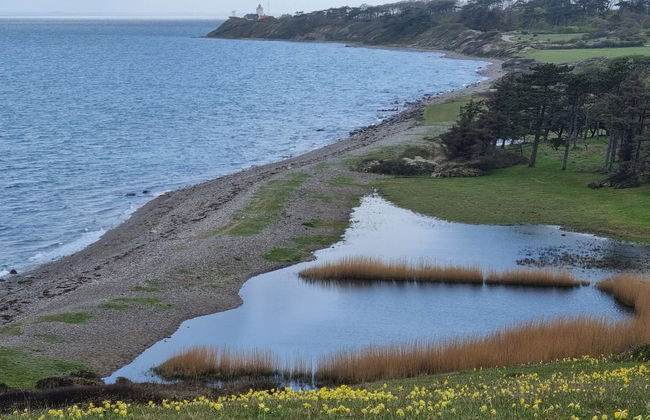 "Miona" - 725m from the sea - Foto 5