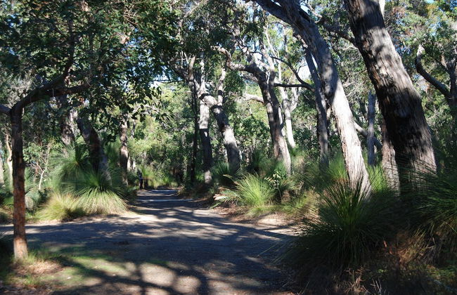 Wrenwood Chalets - Foto 20