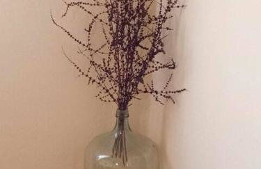 A Sense of Calm & Relaxation - Foto 35