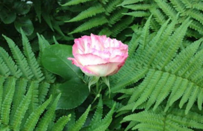 Heriot Lane City Apartments - Foto 27