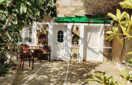 The Fig Tree - Deluxe Studio - Foto 3