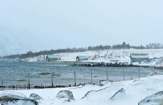 6 Person Holiday Home in Alsvag-by Traum - Photo 15