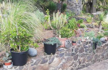 Casa Majores - Foto 30