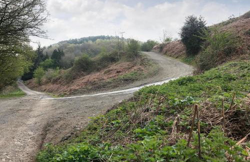 Middle Hanter - Uk37355 - Foto 31