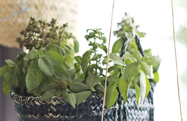 Dara Al Salam - Photo 29