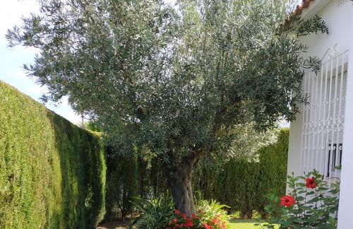 La casa de Sara - Foto 6