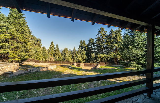 Dandy Villas Elatodasos Chalet Artemis - Foto 15