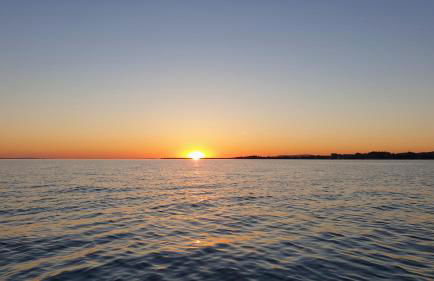 Blütenlodge Bodensee - Foto 40