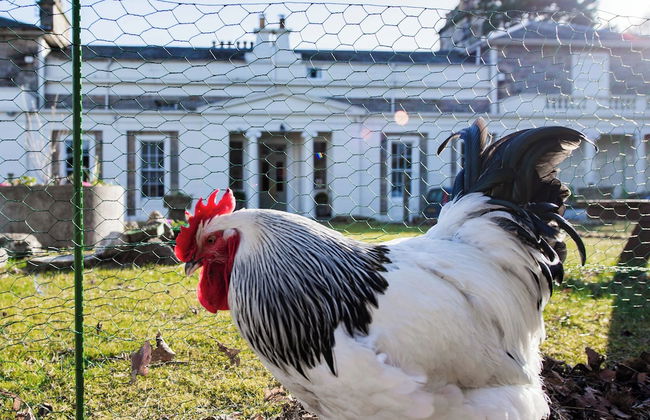 East Wing Apartment - Foto 30