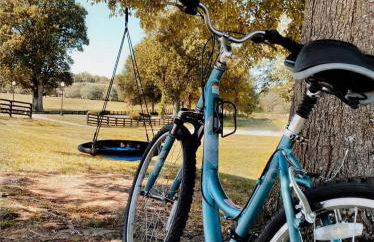 Rustic Stall B&B with Country Breakfast & Bonfires near Old Hickory Lake – Gallatin, Tennessee - Foto 15