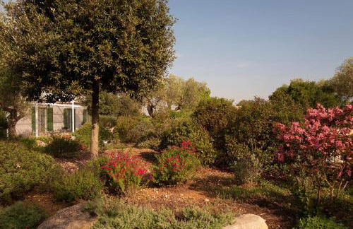 Agriturismo La Civetta - Foto 8